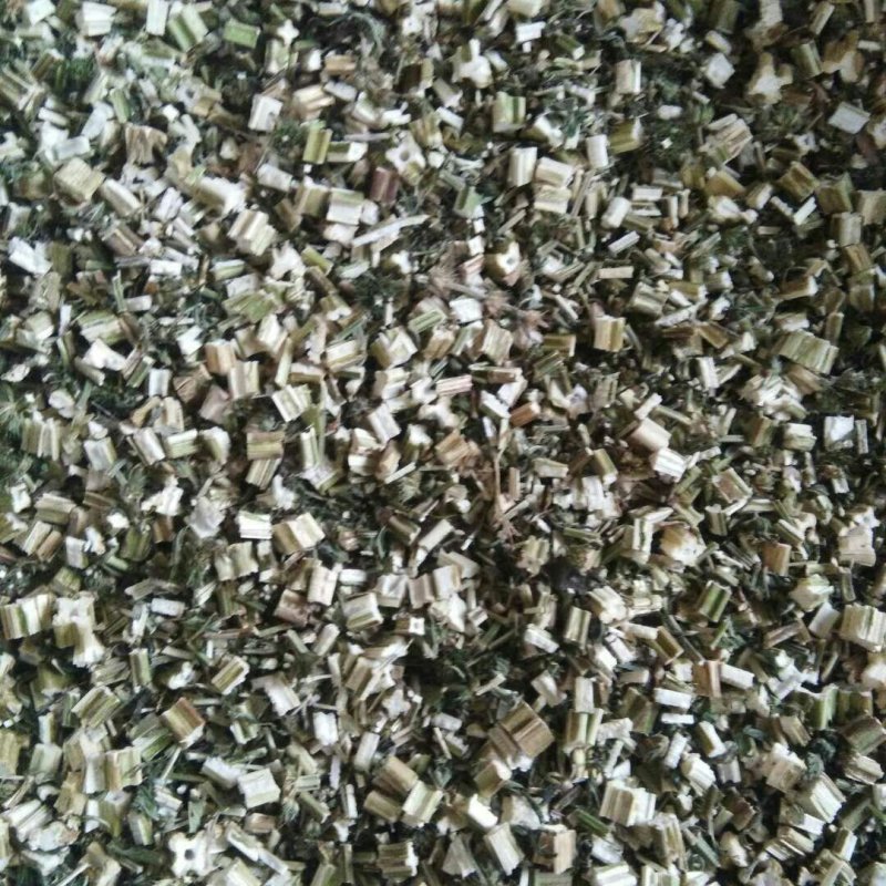 益母草