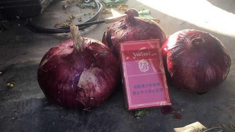 张家口蔬菜基地现货供应洋葱