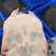 长期销售七年以上鳖3斤到5斤