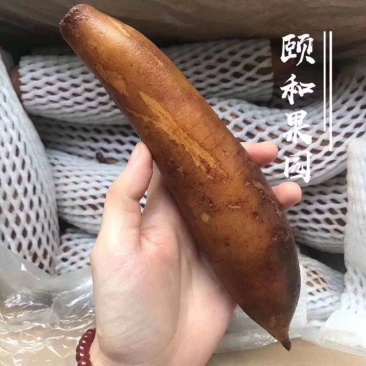 雪莲果