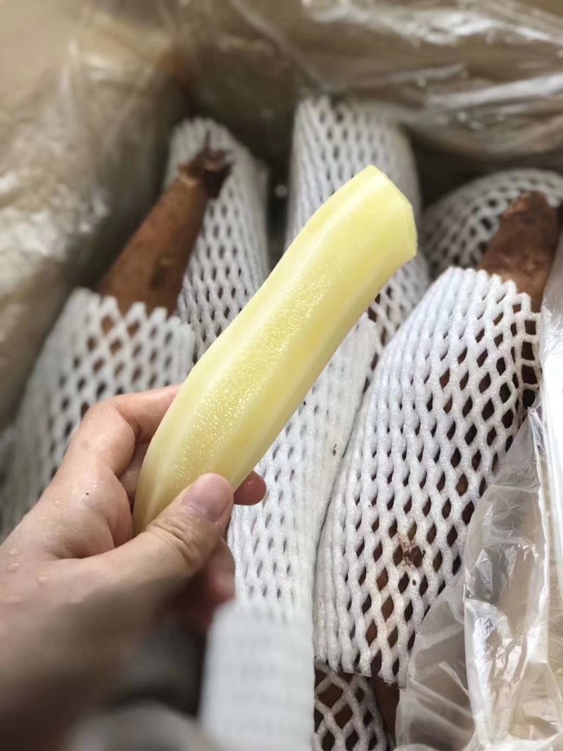 雪莲果