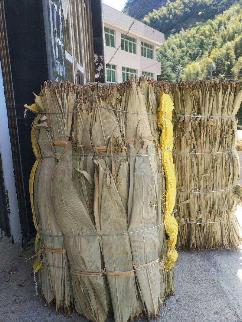 粽叶，箬叶，批发浙江！温州乐清粽叶，批发