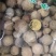 没食子无食子没石子