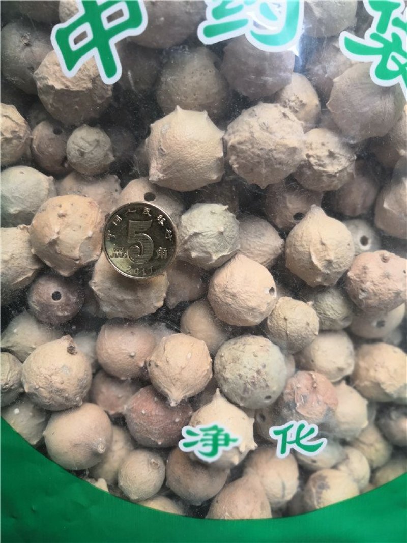 没食子无食子没石子