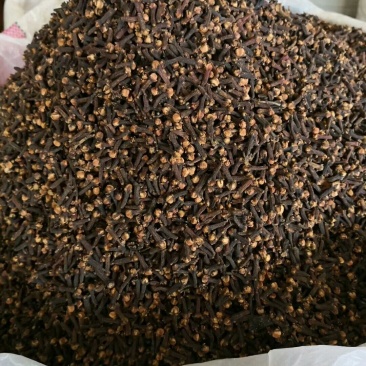 丁香，调味品