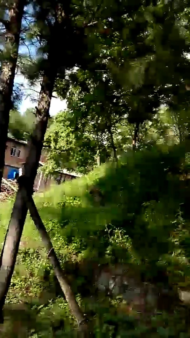 综合养殖用地