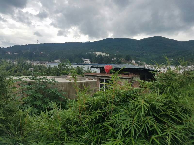 昭通市鲁甸县50亩草莓农庄园地转让