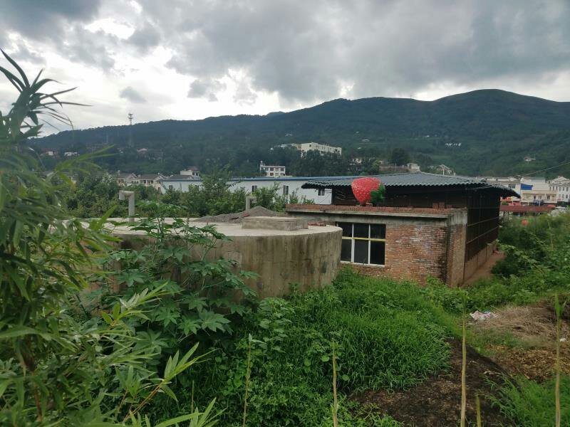 昭通市鲁甸县50亩草莓农庄园地转让