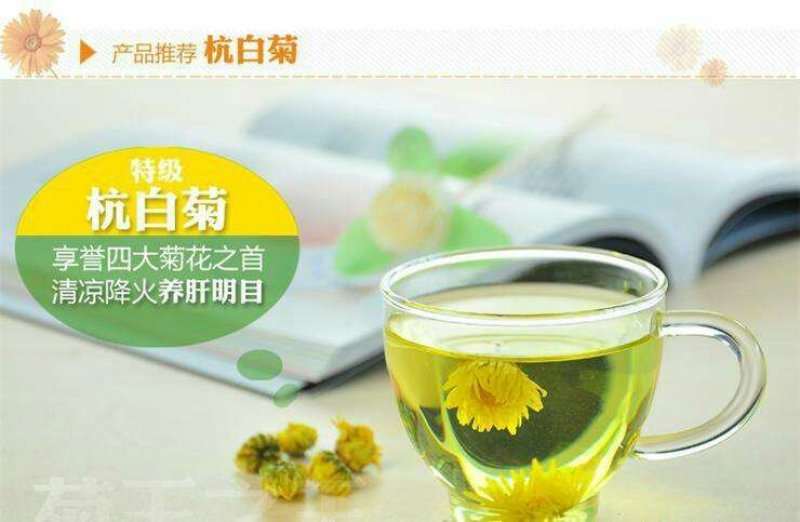杭白菊