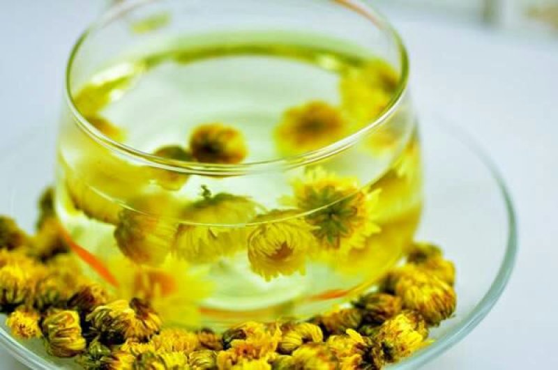 杭白菊