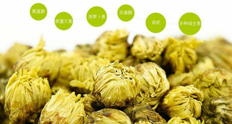 杭白菊