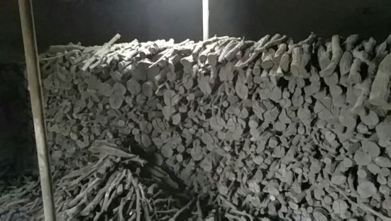 苹果木炭大量出窑