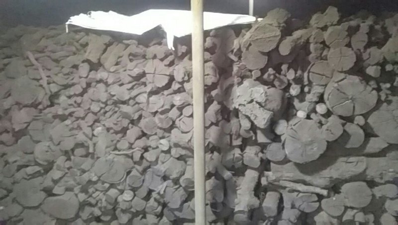 苹果木炭大量出窑