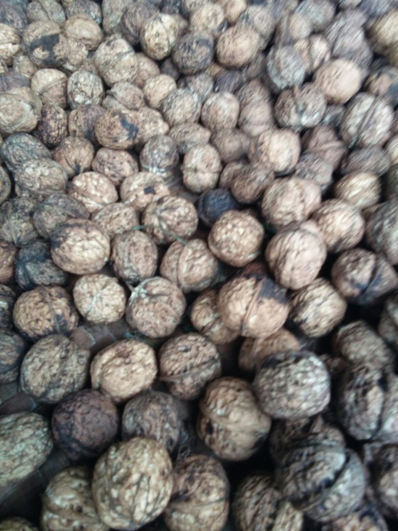 大理高海拔核桃丑核桃香未清洗表皮，自然晒干
