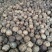 大理高海拔核桃丑核桃香未清洗表皮，自然晒干