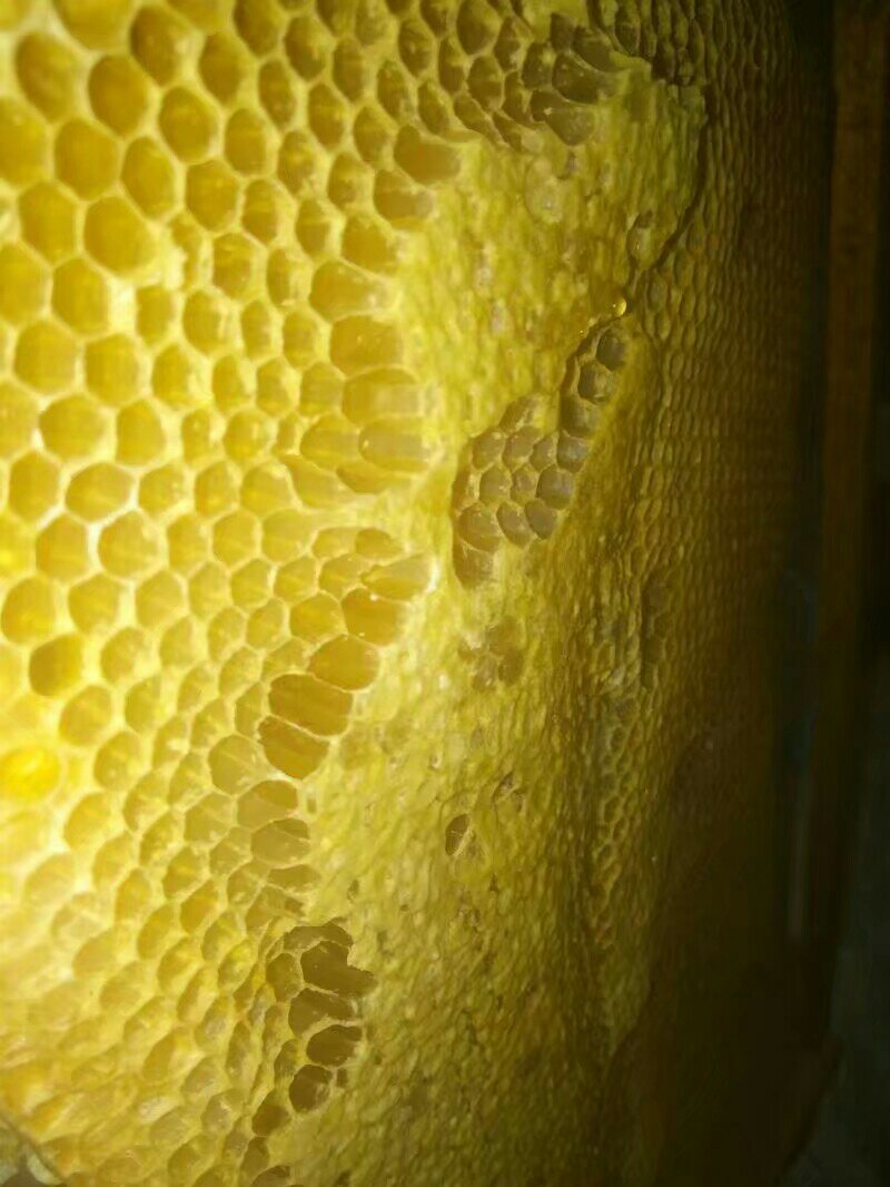 土蜂蜜
