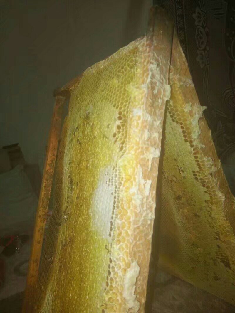 土蜂蜜