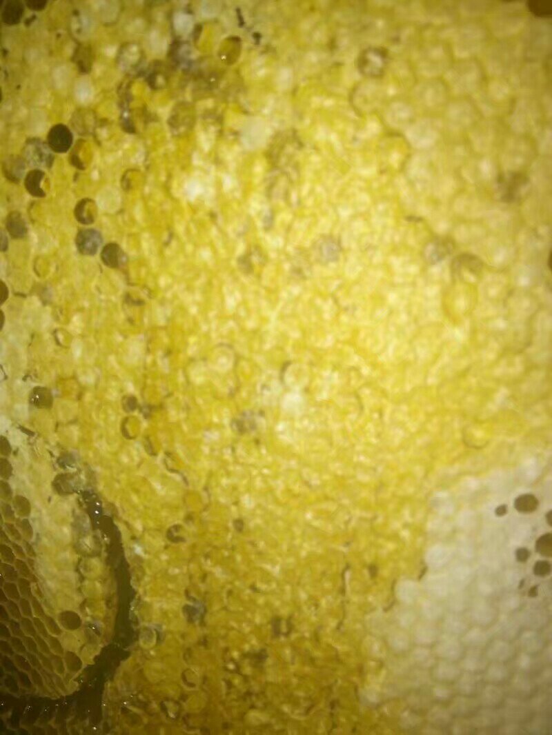 土蜂蜜