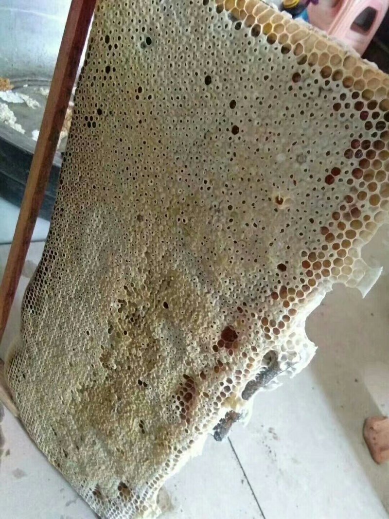 土蜂蜜