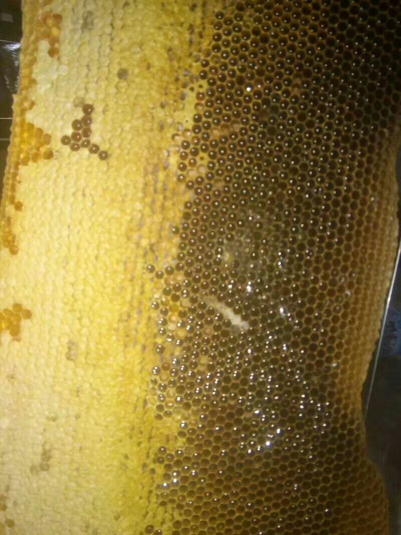土蜂蜜