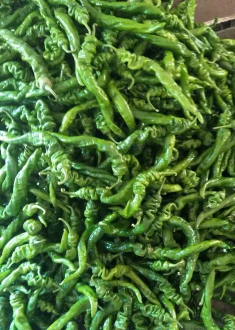 螺丝椒，大螺丝，小螺丝