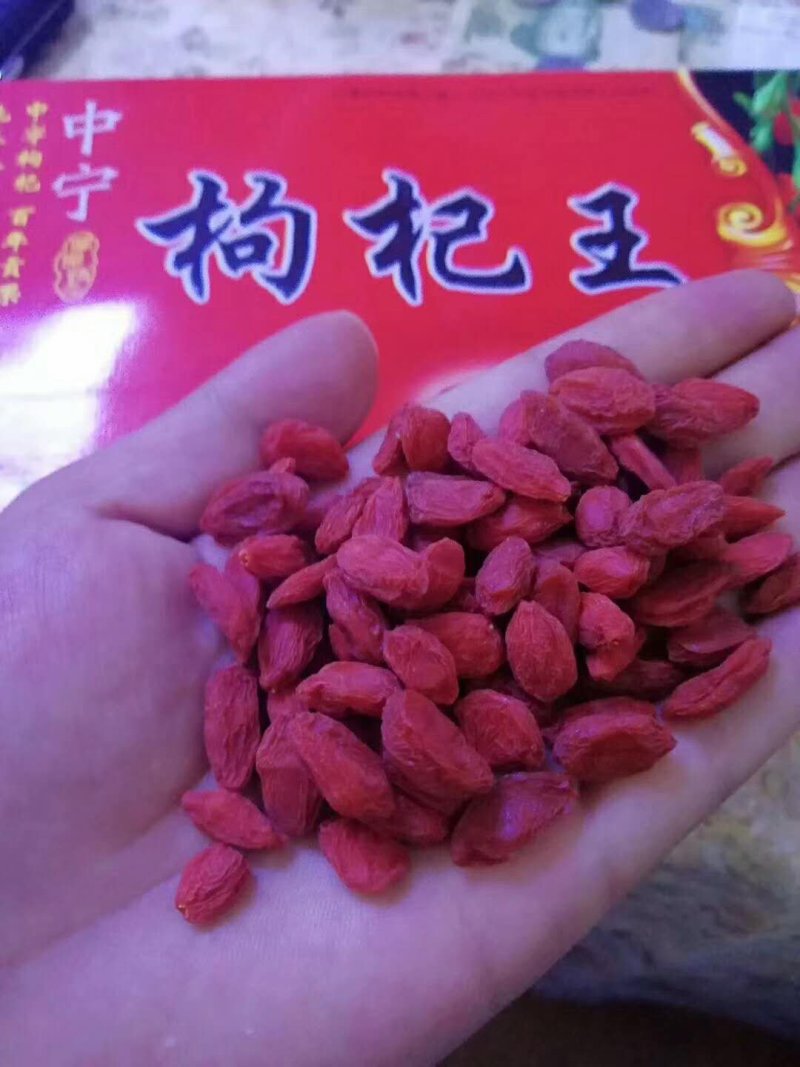 红枸杞