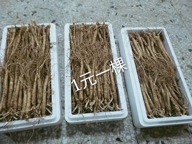 1元参