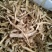 当归中节片甘肃干货人工种植2斤起包邮