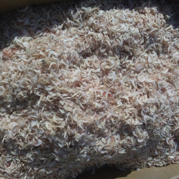 鲜虾皮