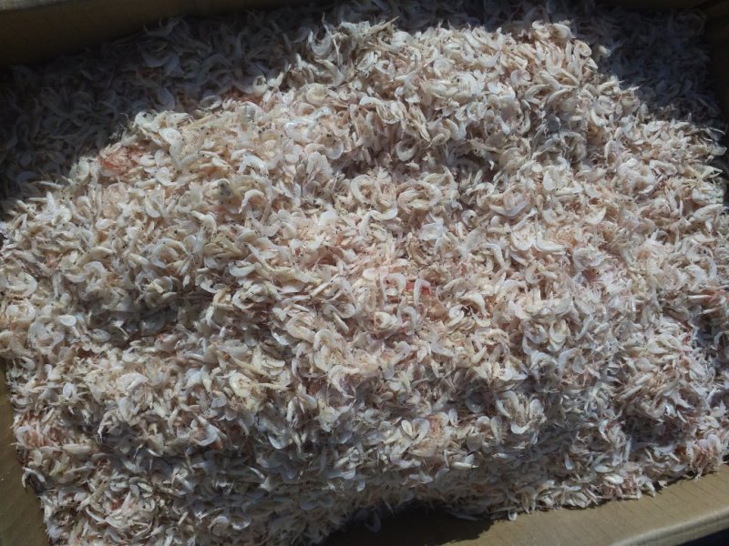 鲜虾皮