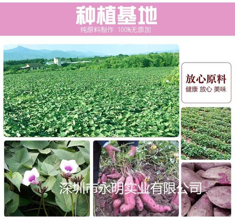 紫薯紫罗兰