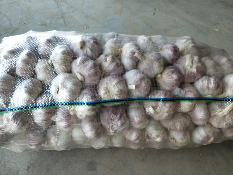 大蒜，紫皮大蒜，量大从优，全国发货，欢迎采购下单