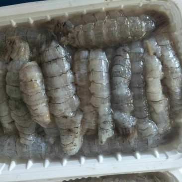 生冻原汁皮皮虾肉