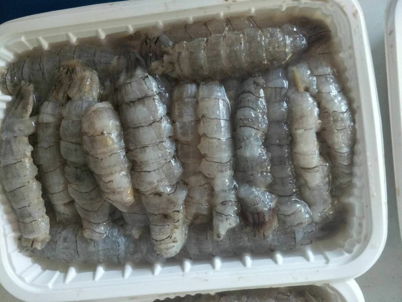 生冻原汁皮皮虾肉