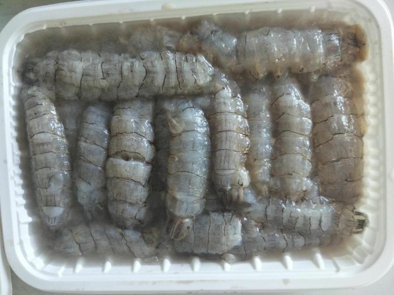 生冻原汁皮皮虾肉