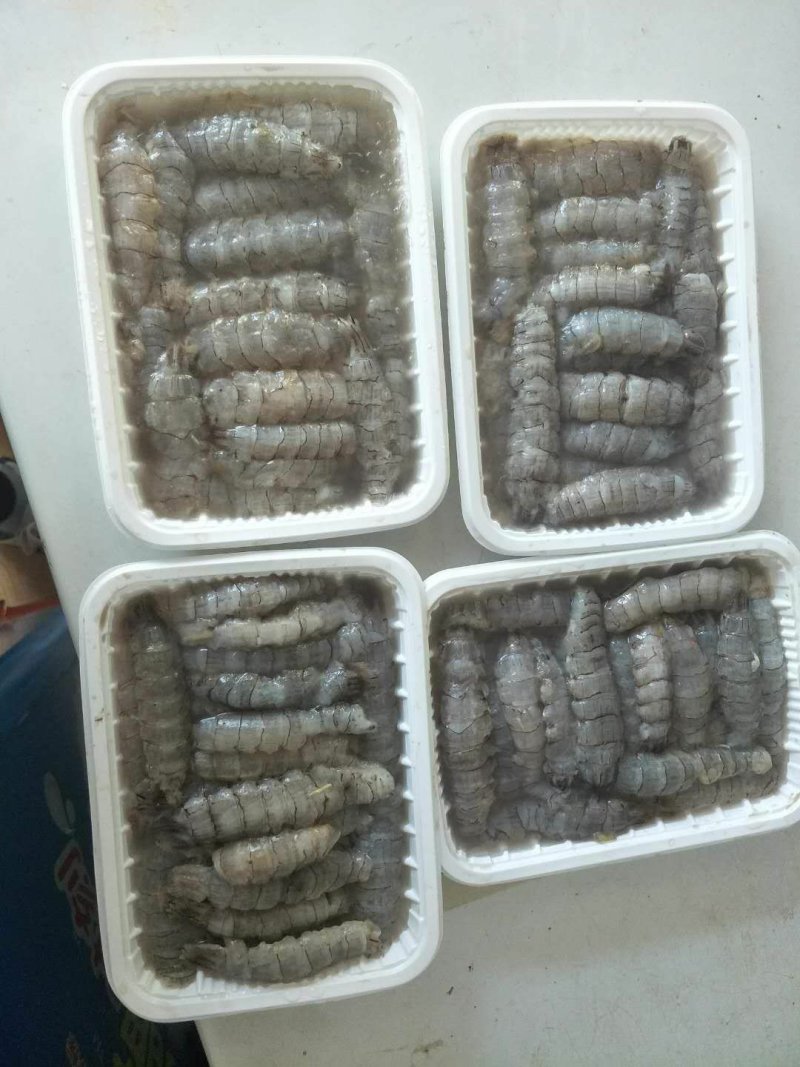 生冻原汁皮皮虾肉