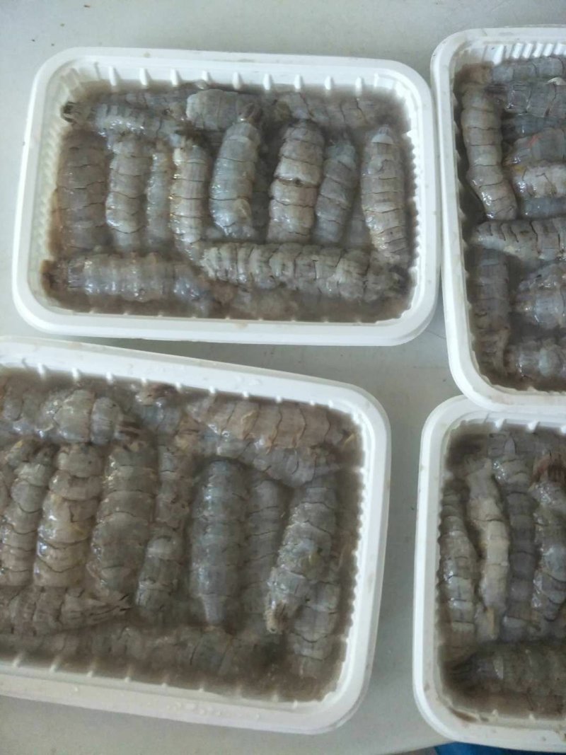 生冻原汁皮皮虾肉