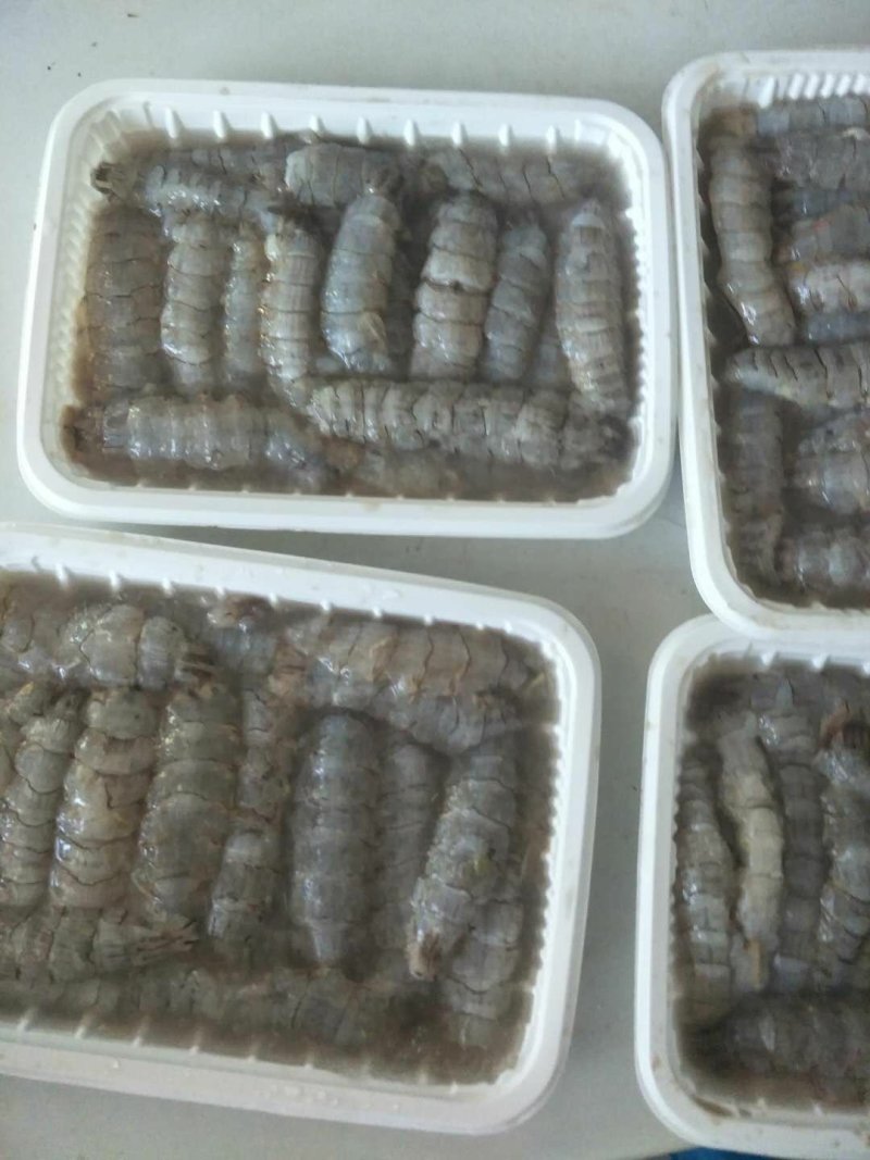 生冻原汁皮皮虾肉