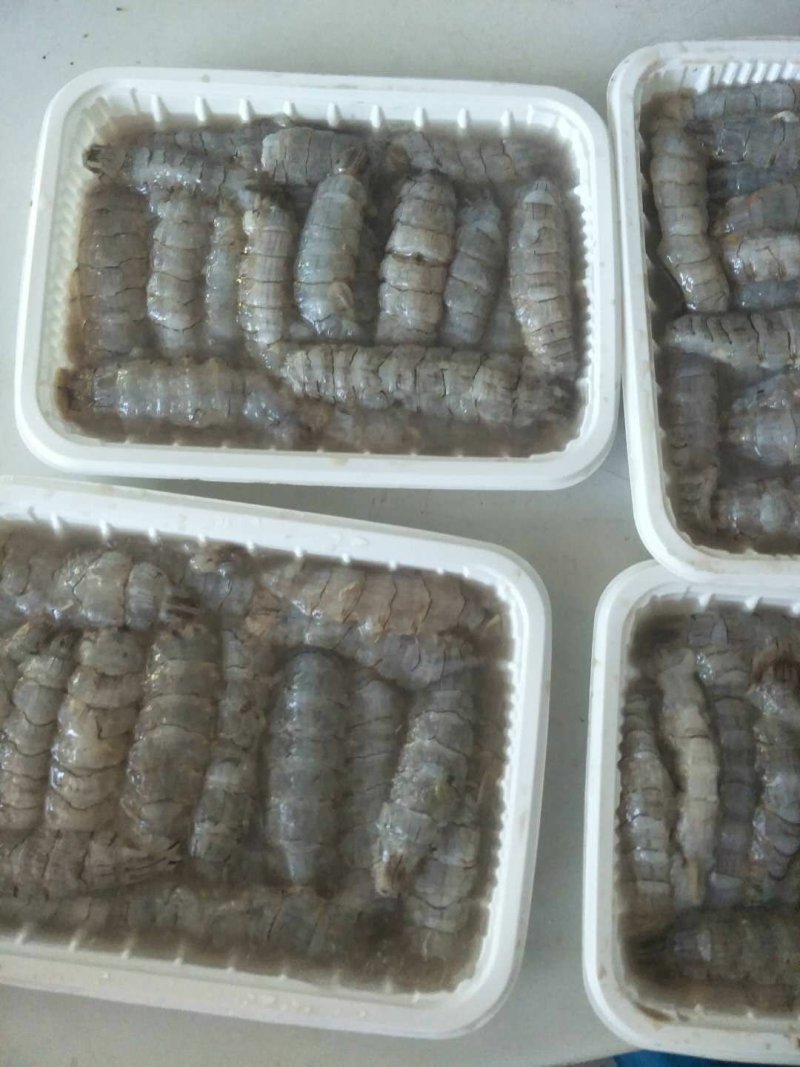 生冻原汁皮皮虾肉