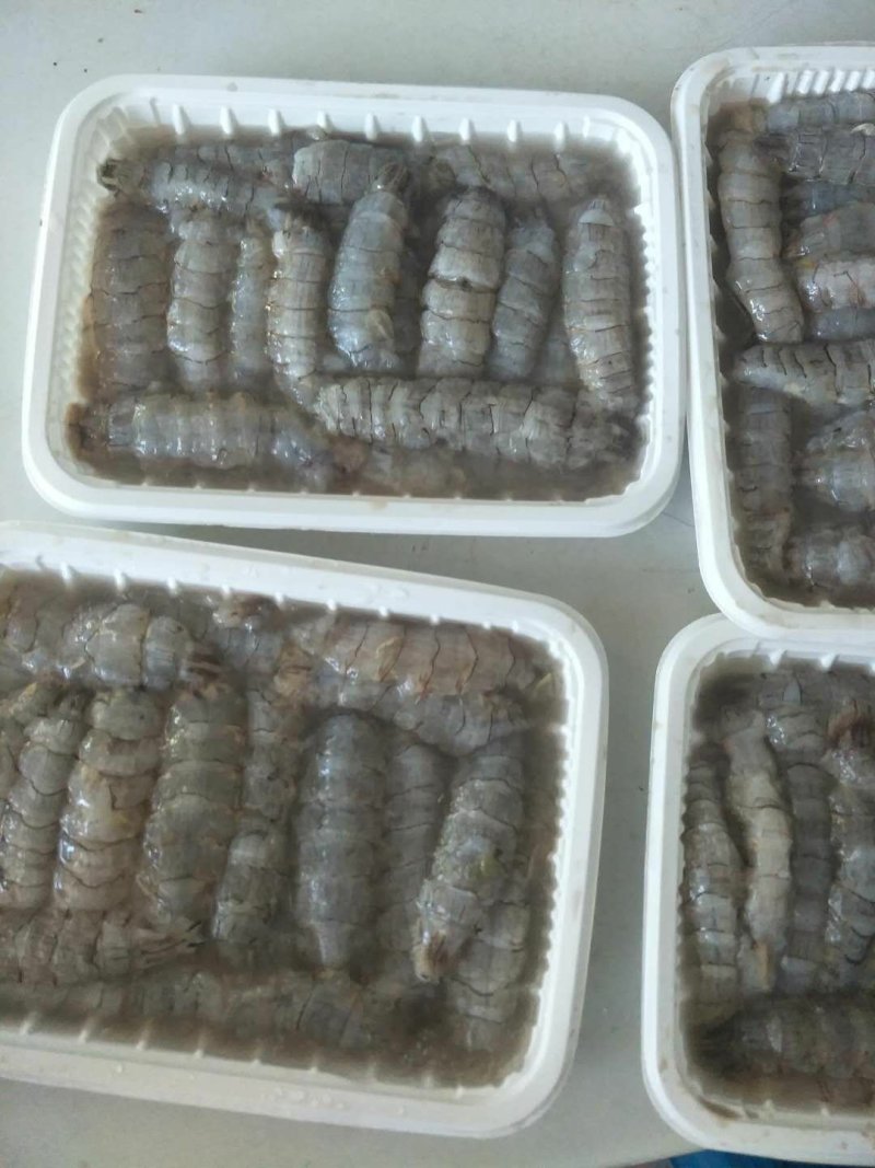 生冻原汁皮皮虾肉