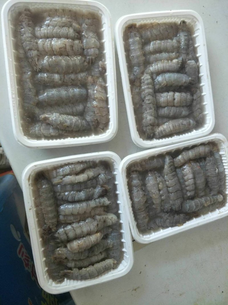 生冻原汁皮皮虾肉