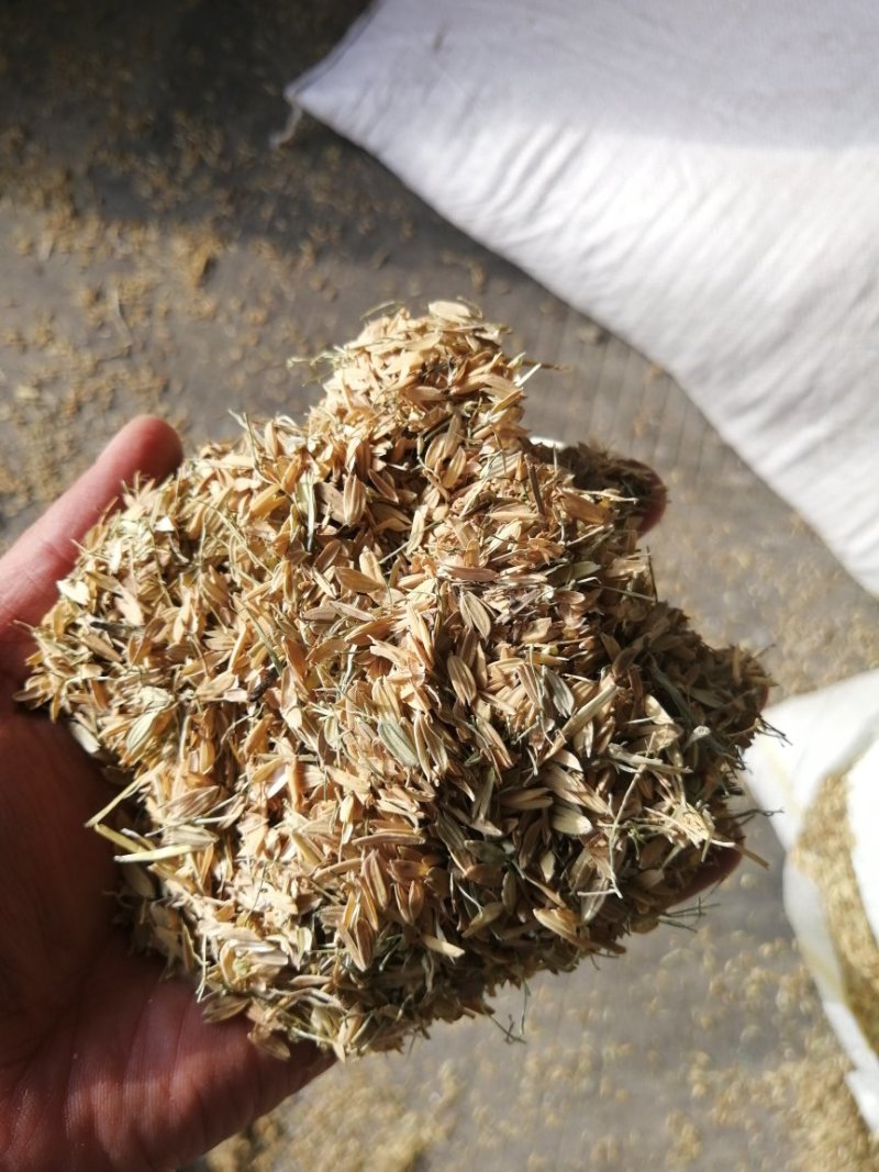 谷壳，瘪谷，稻谷
