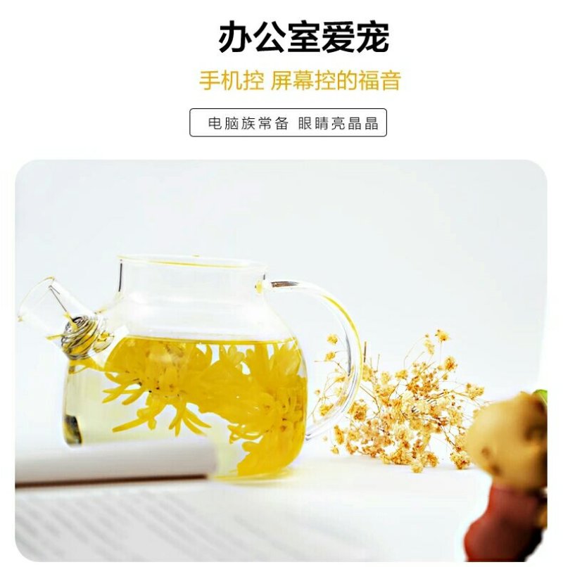 菊花茶一朵一杯金丝大皇菊朵黄徽州菊花江西菊花茶婺源晓