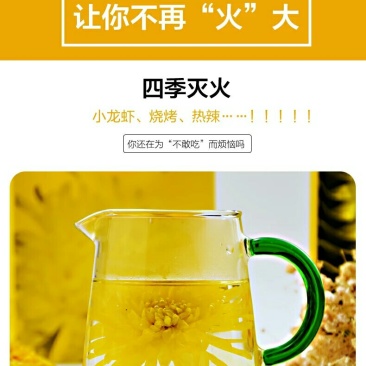 菊花茶一朵一杯金丝大皇菊朵黄徽州菊花江西菊花茶婺源晓