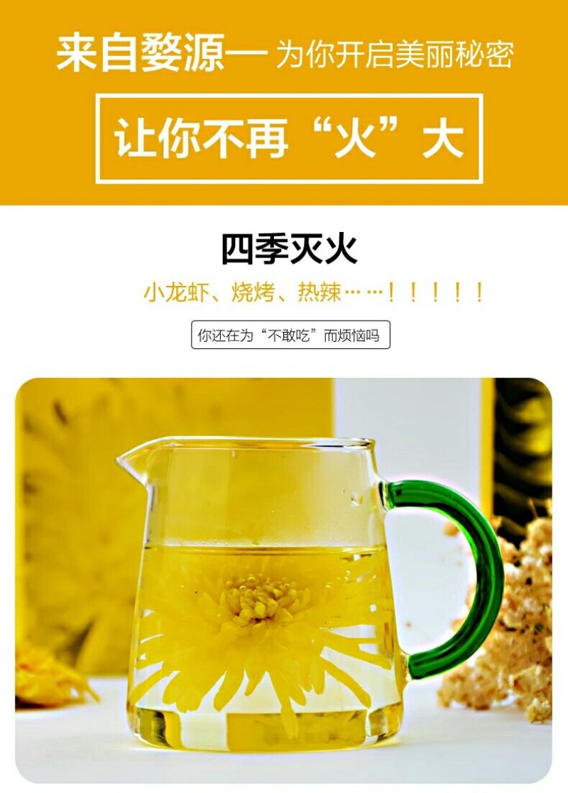 菊花茶一朵一杯金丝大皇菊朵黄徽州菊花江西菊花茶婺源晓