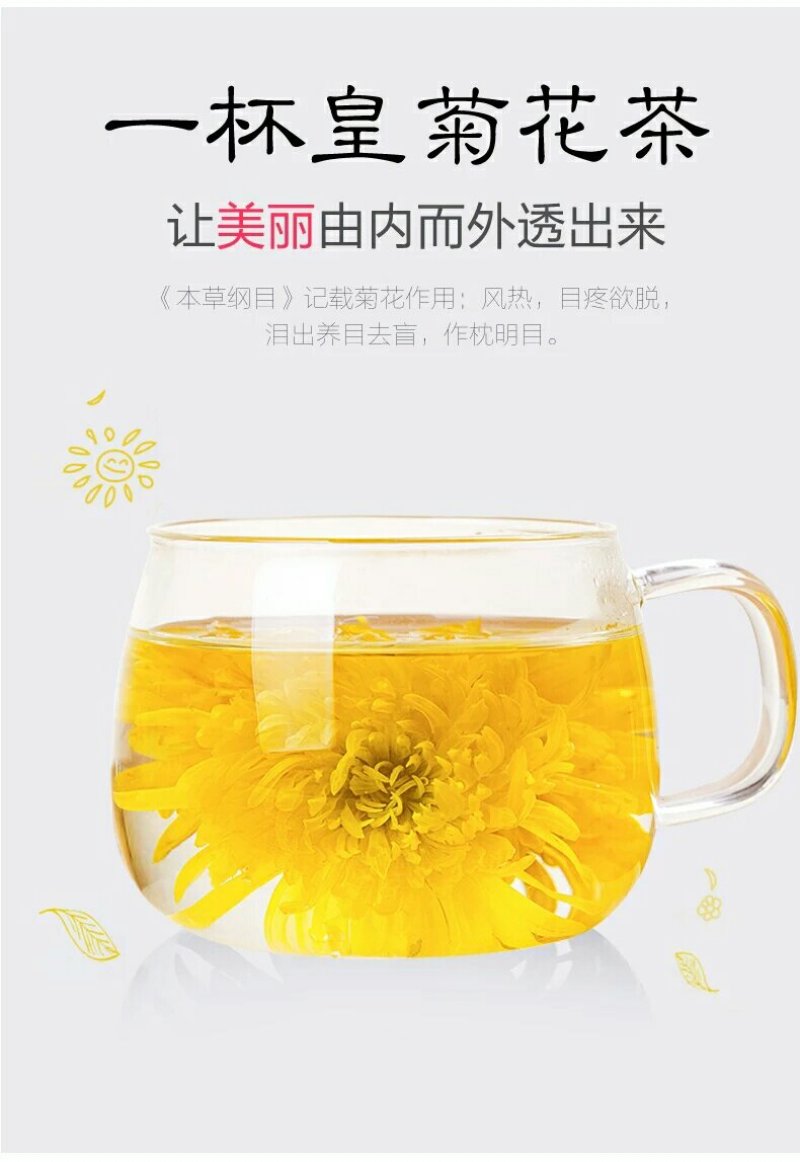 菊花茶一朵一杯金丝大皇菊朵黄徽州菊花江西菊花茶婺源晓