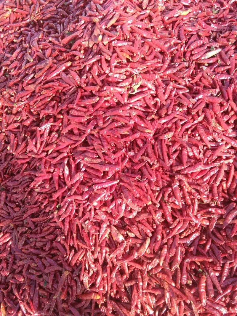 朝天椒，干货，货源充足，一手货源，货源充足，价格合理，