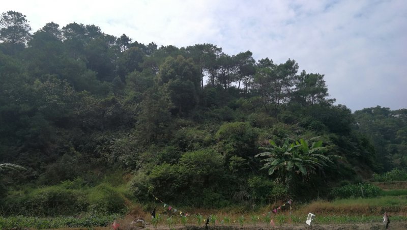 转租丘陵山地