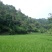 转租丘陵山地