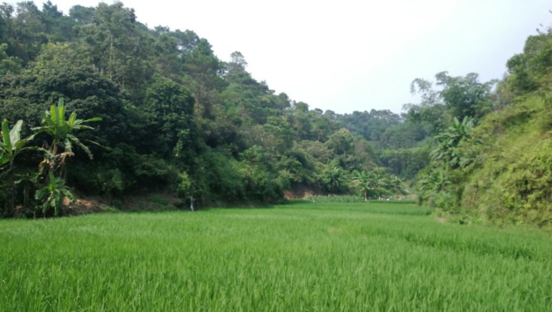转租丘陵山地